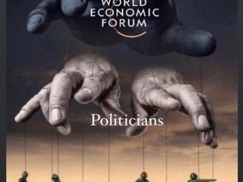 Hvorfor er World Economic Forum så ivrig etter å endre verden etter sitt&nbsp;bilde?